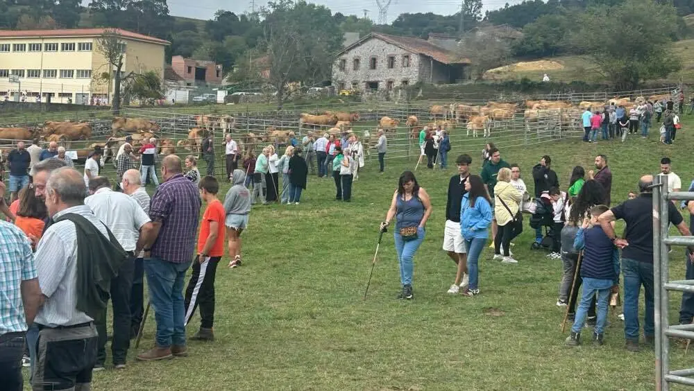 feria-san-cipriano-penamellera