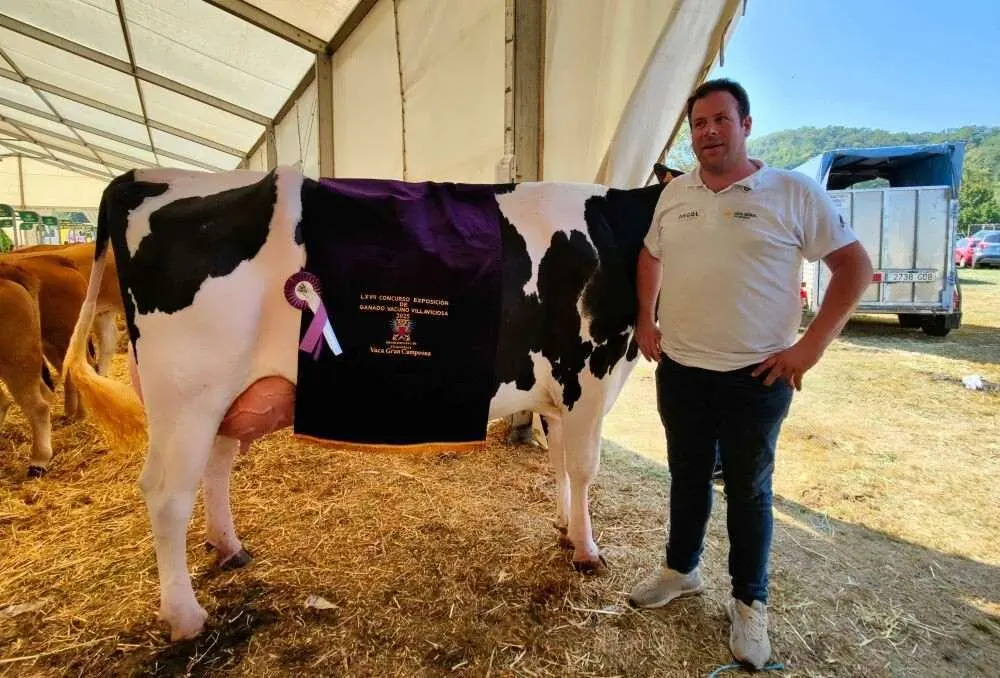 Concurso de Ganado (3)