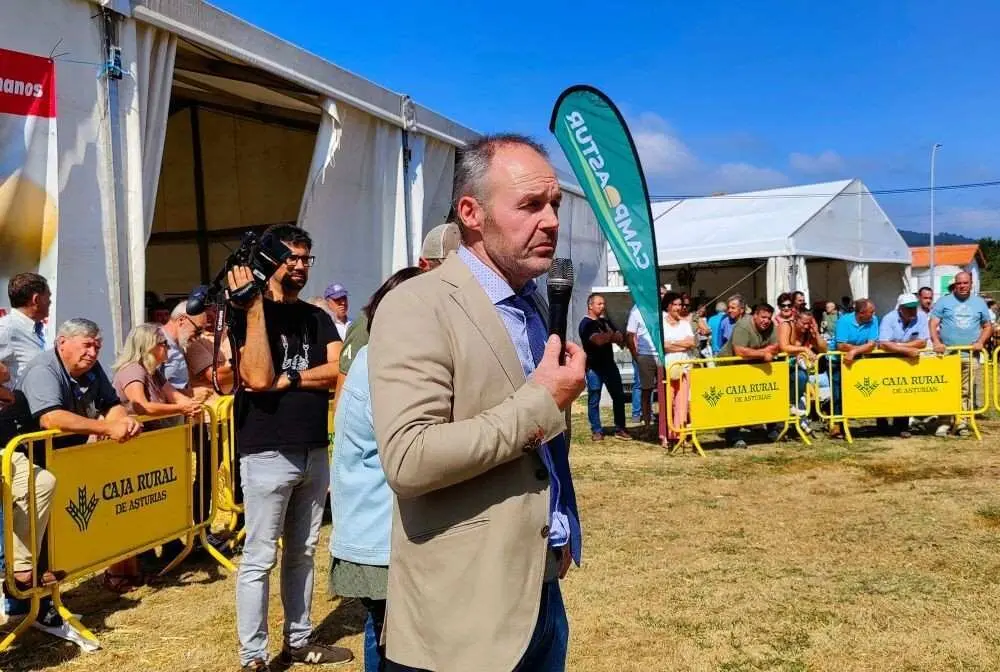 Concurso de Ganado (8)