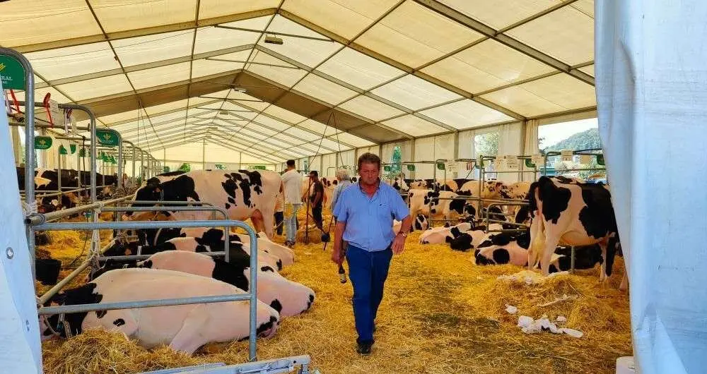 Concurso de Ganado (17)