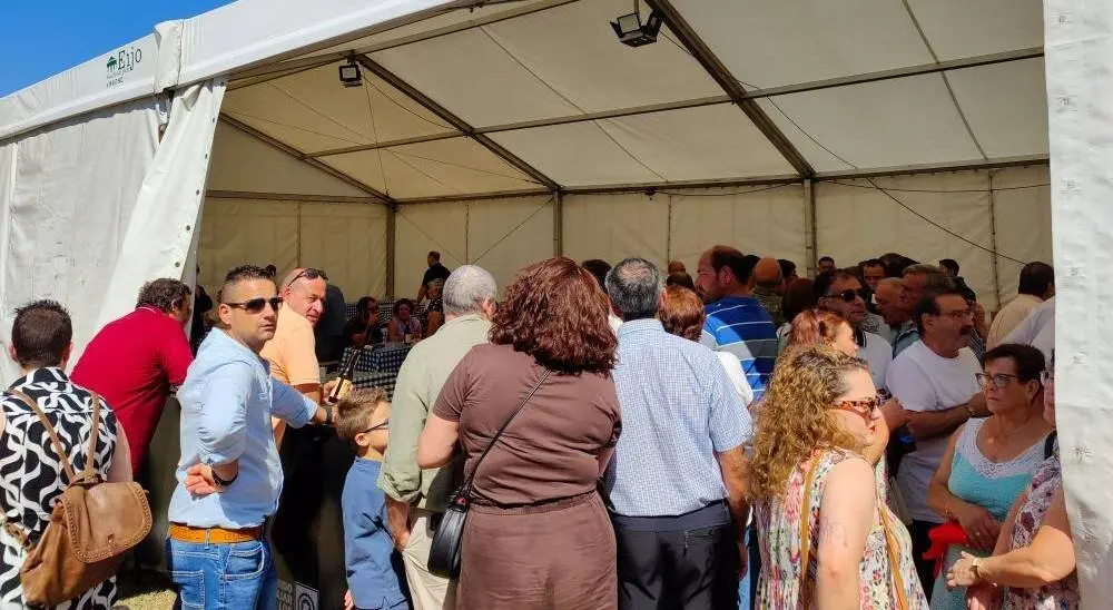 Concurso de Ganado (18)