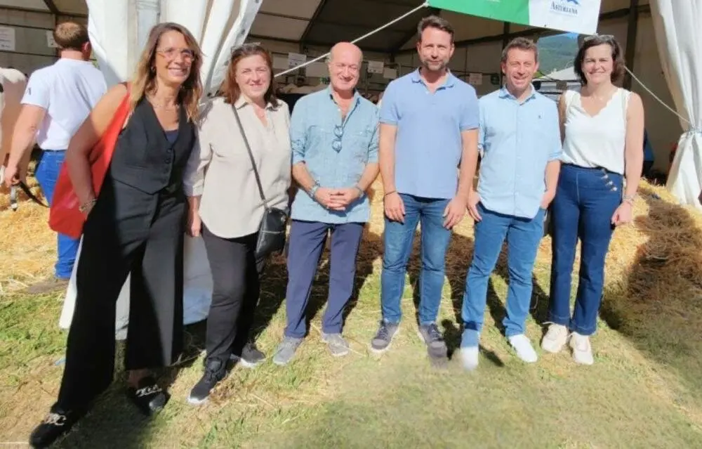 Concurso de Ganado (24)