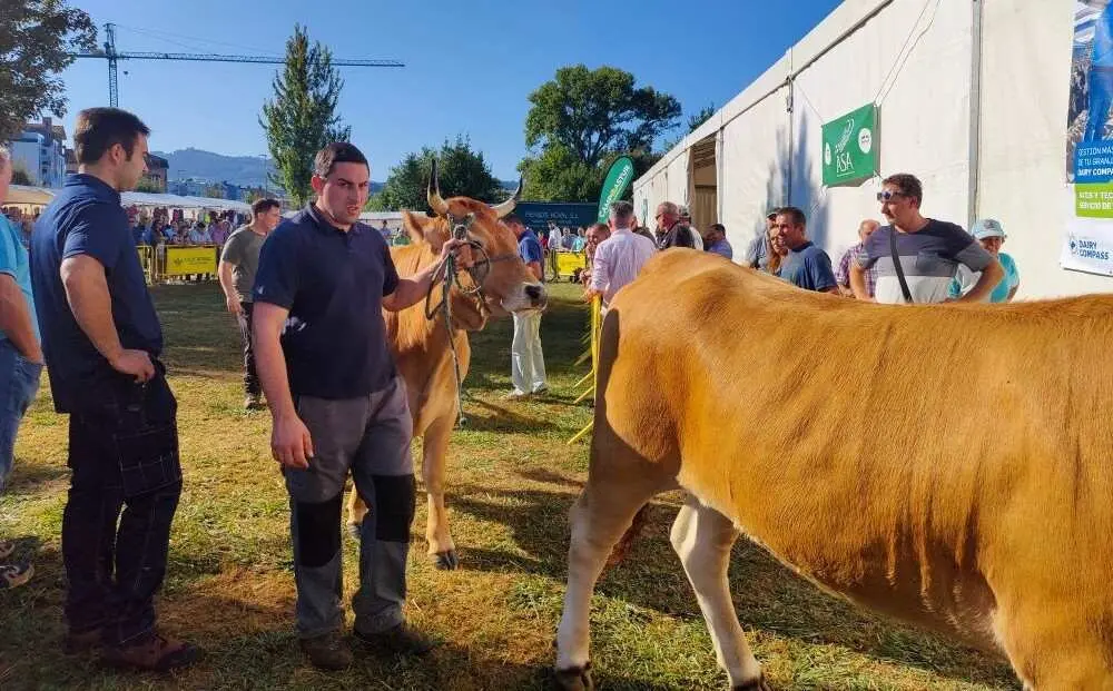 Concurso de Ganado (37)
