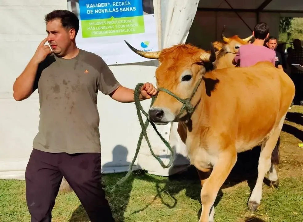 Concurso de Ganado (41)