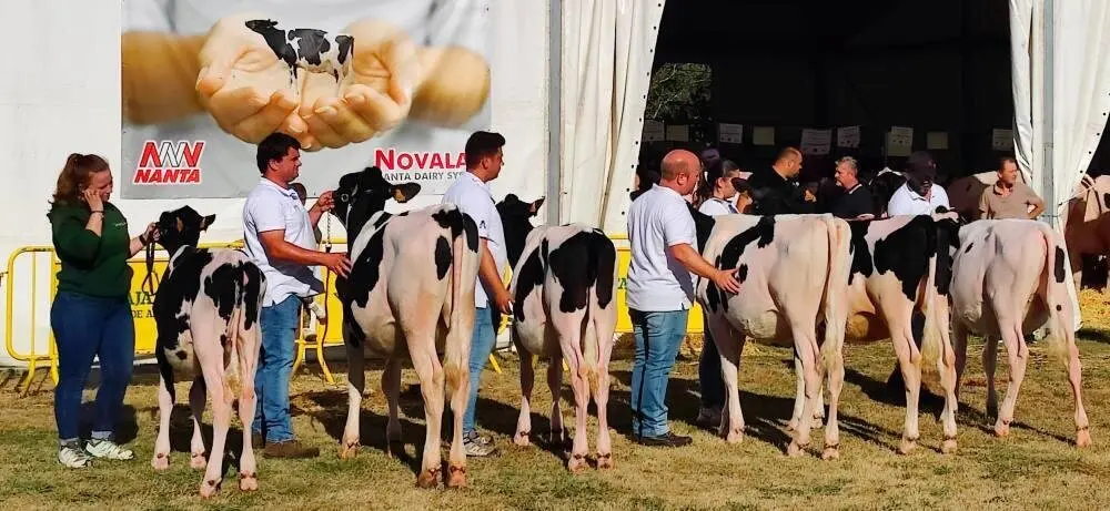 Concurso de Ganado (42)