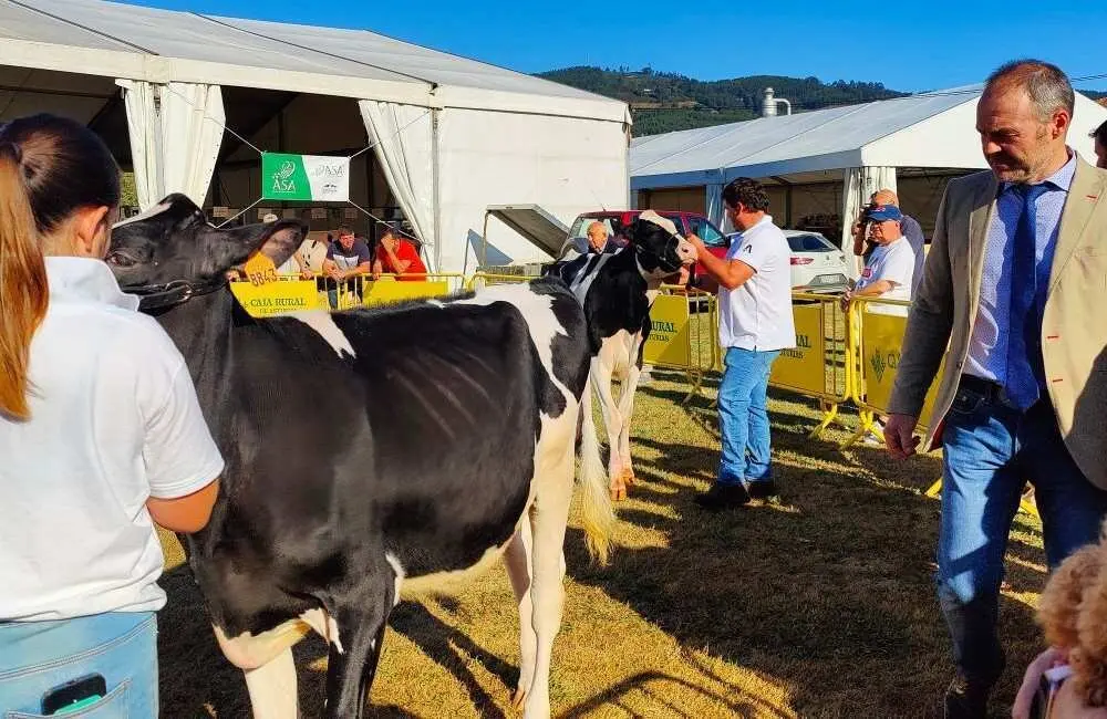 Concurso de Ganado (44)