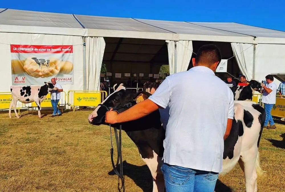 Concurso de Ganado (46)