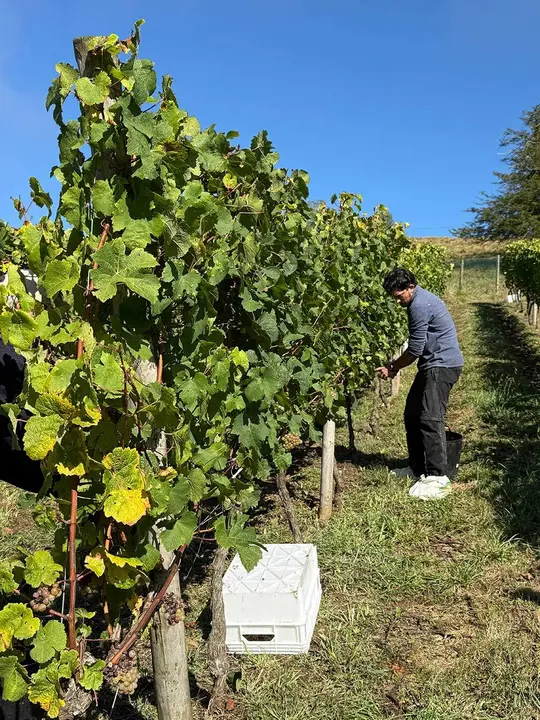 exalumnos-ies-luces-06