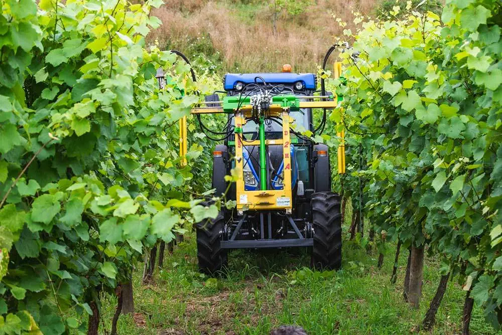 Nevares-Vendimia-tractor