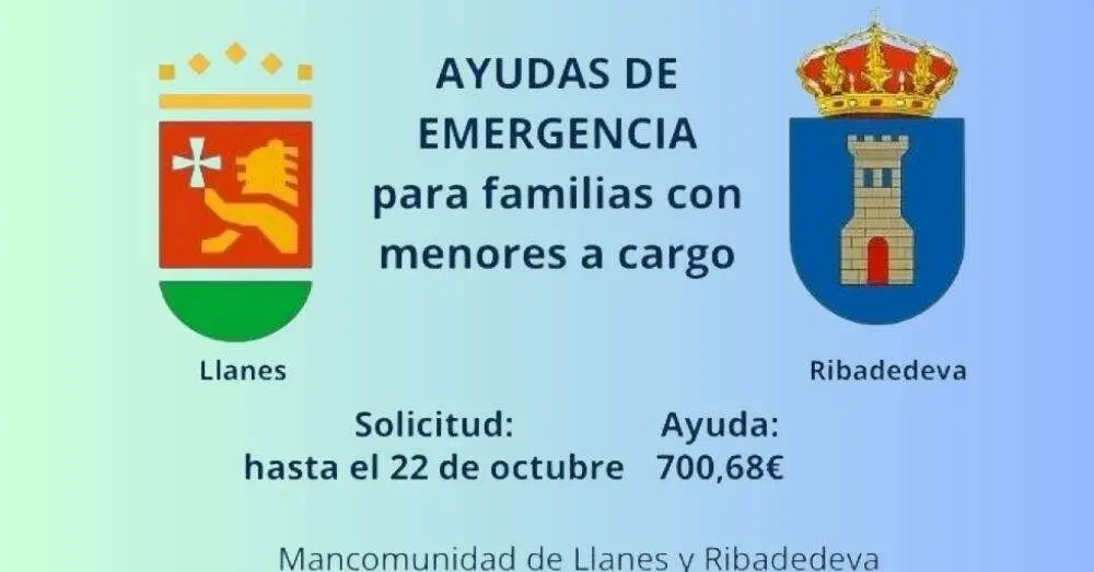 Ayudas Emergencia Social.