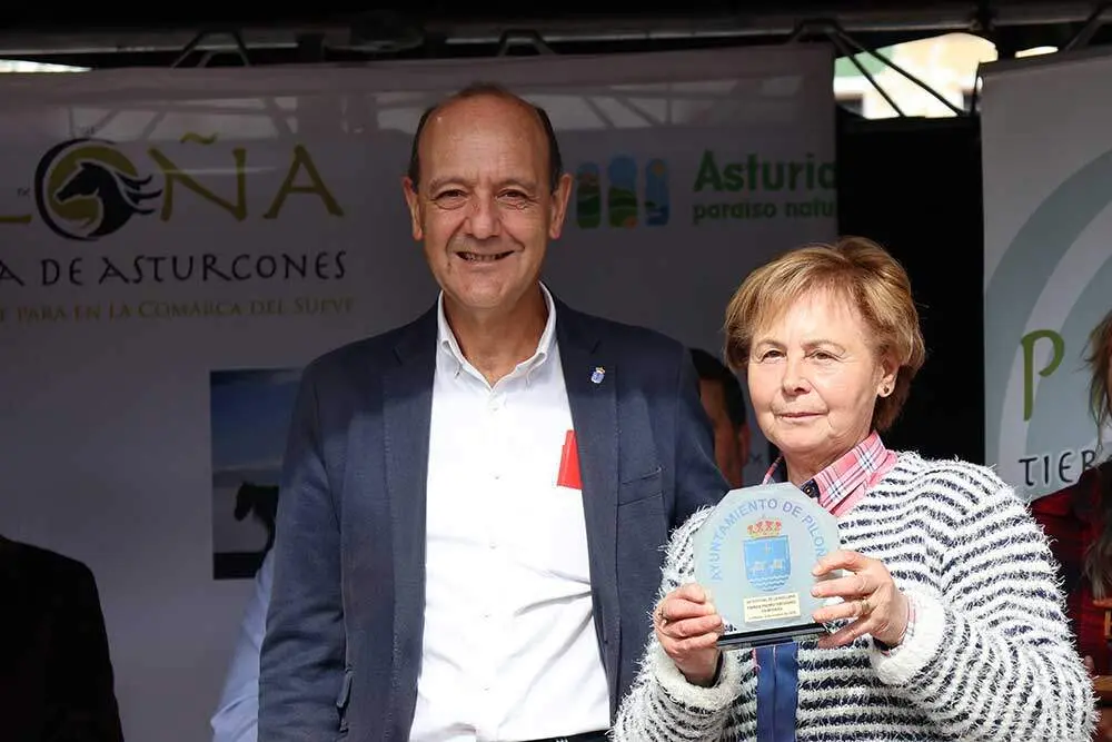 festival-avellana-infiesto-035