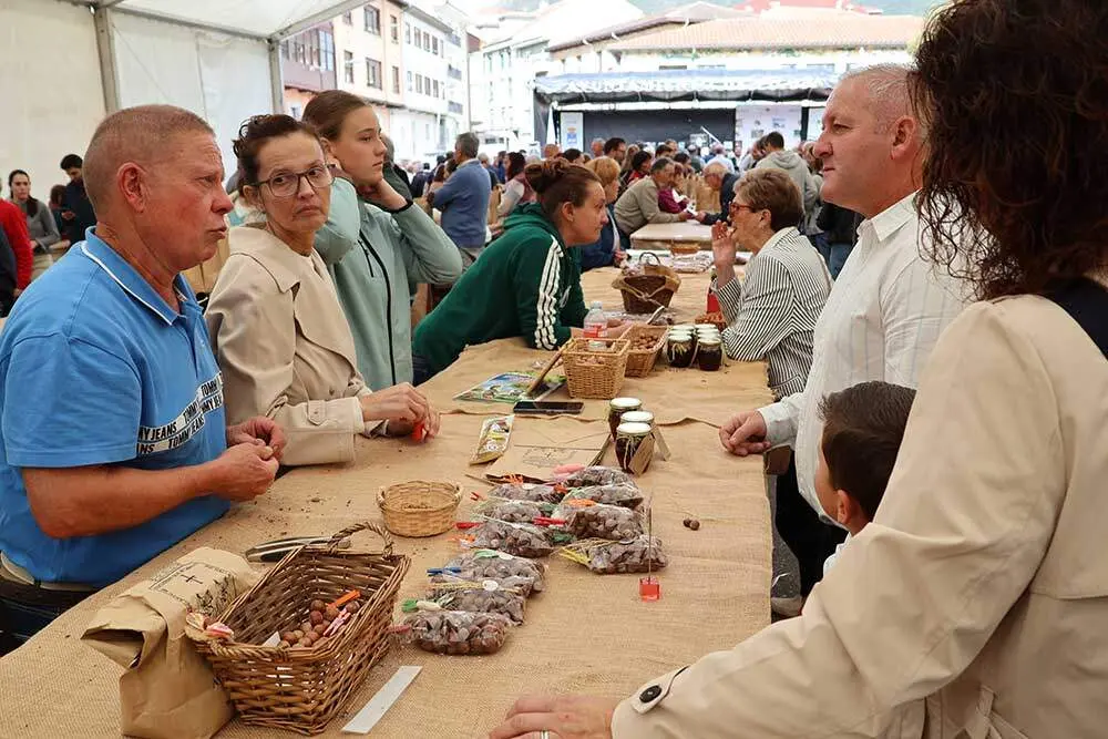 festival-avellana-infiesto-042