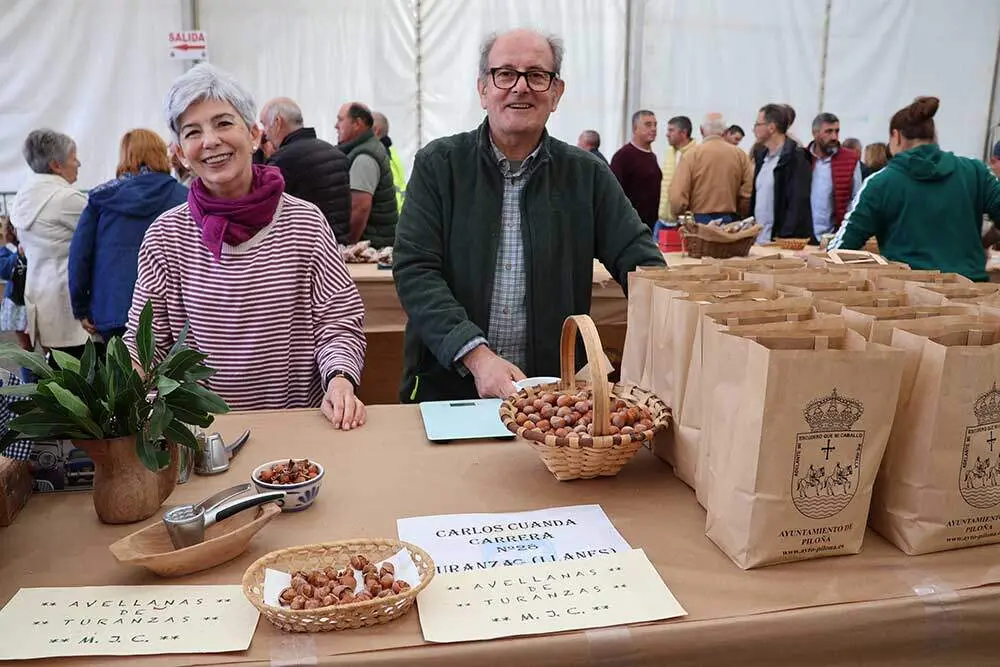 festival-avellana-infiesto-052