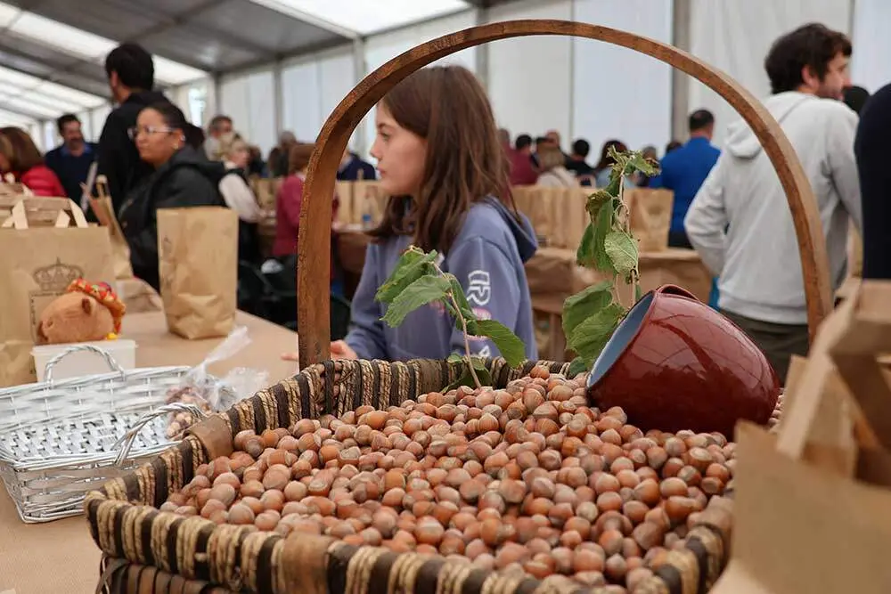 festival-avellana-infiesto-061