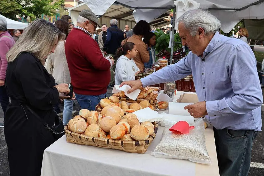 festival-avellana-infiesto-064