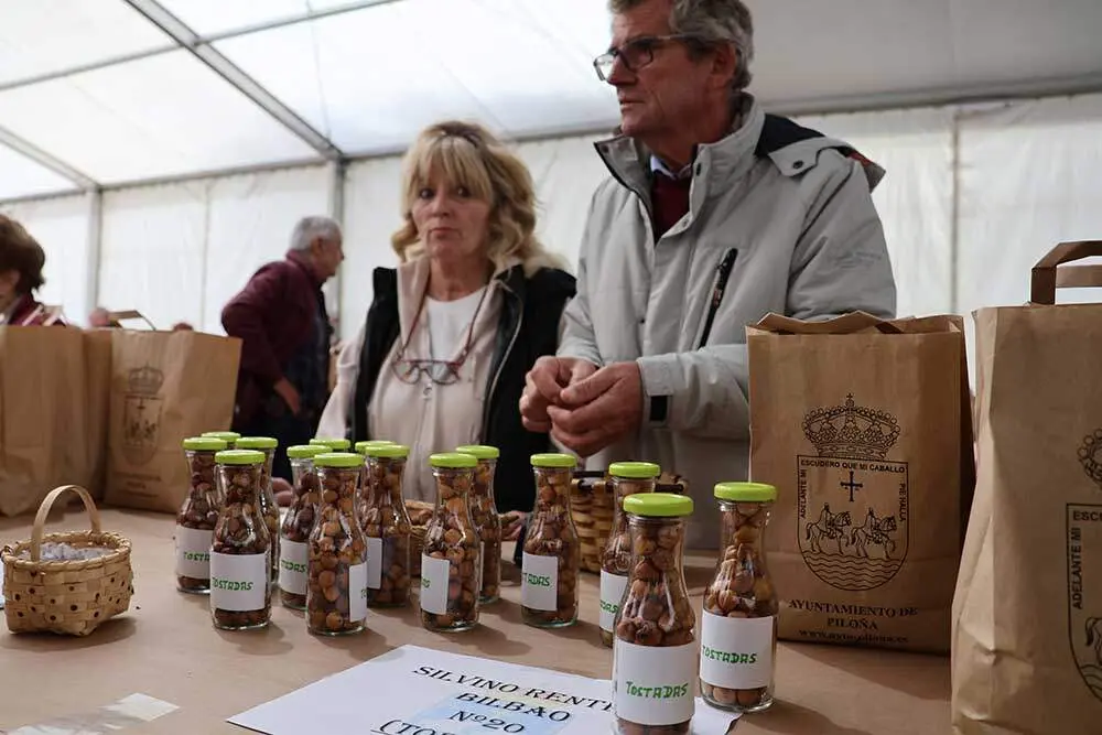 festival-avellana-infiesto-069