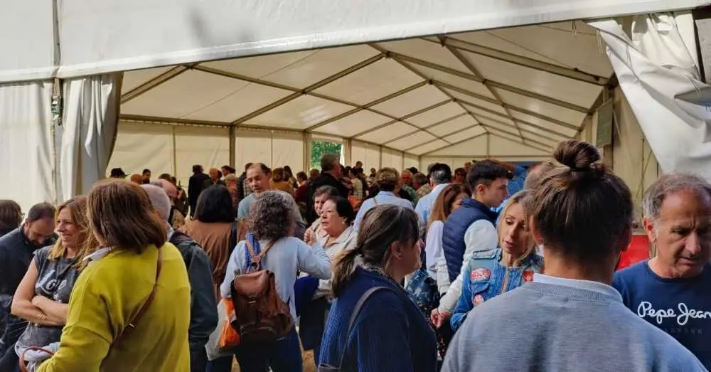 Feria del Lino y la Nuez 2025, Camoca. (7)