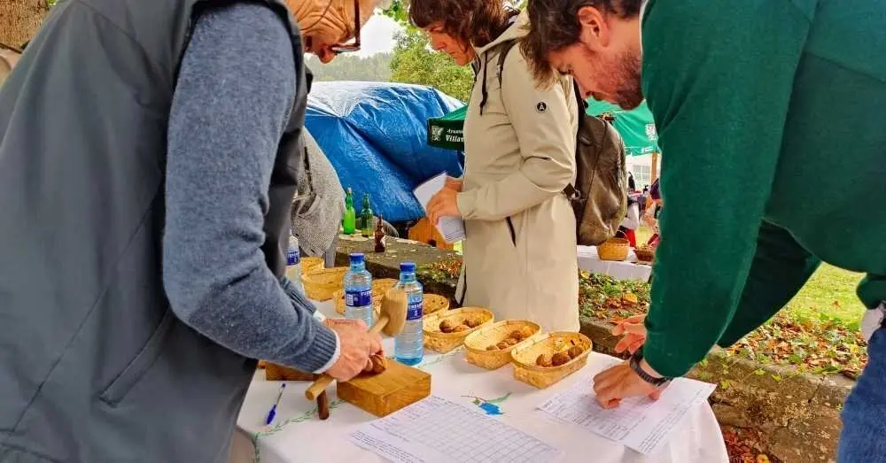 Feria del Lino y la Nuez 2025, Camoca. (64)