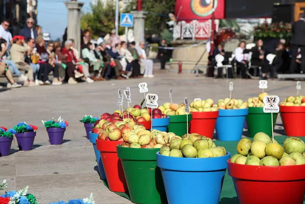 bendicion-mosto-villaviciosa-056