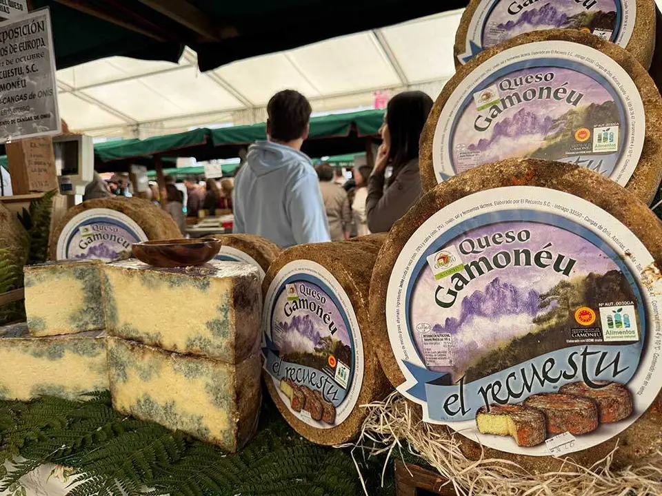 concurso-quesos-picos-europa-031
