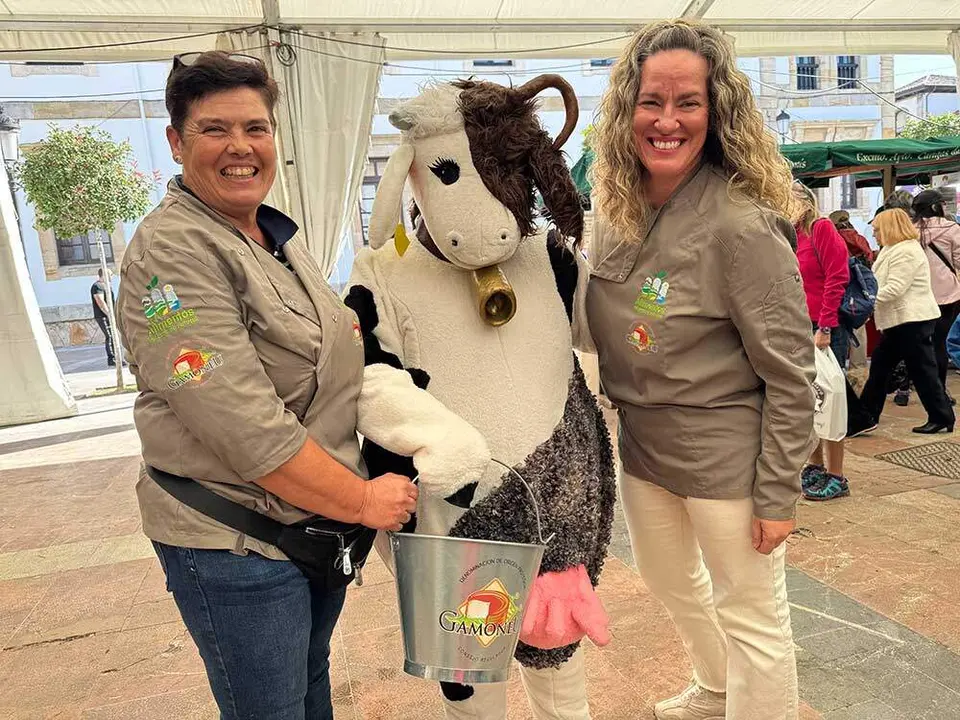 concurso-quesos-picos-europa-046