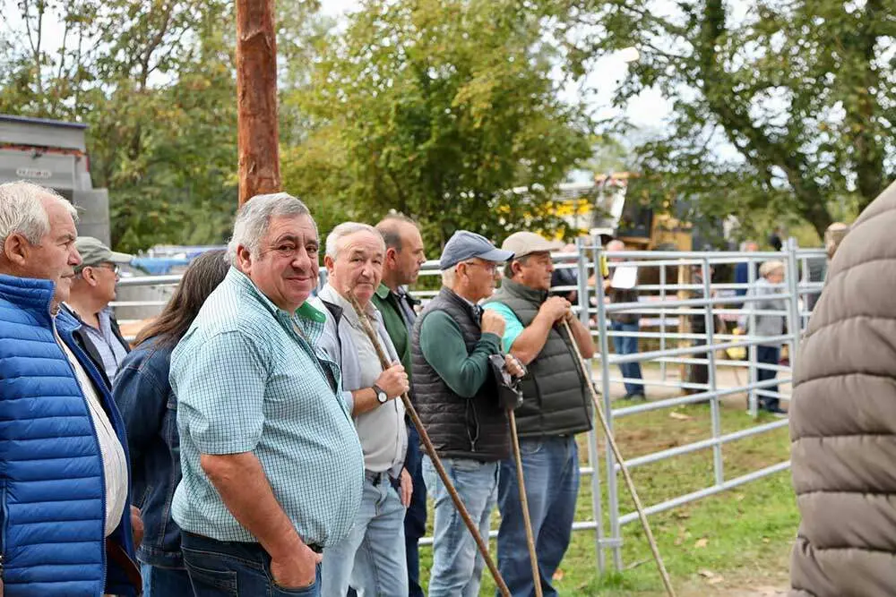 feria-santa-teresa-infiesto-2025-02