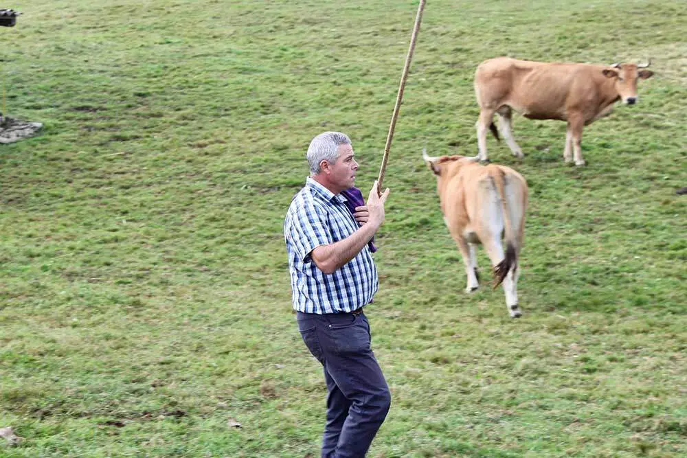 feria-santa-teresa-infiesto-2025-03