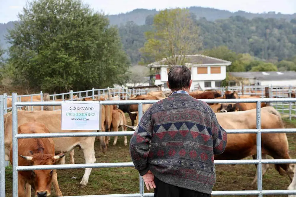 feria-santa-teresa-infiesto-2025-04