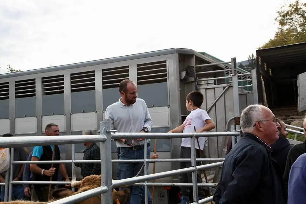 feria-santa-teresa-infiesto-2025-06