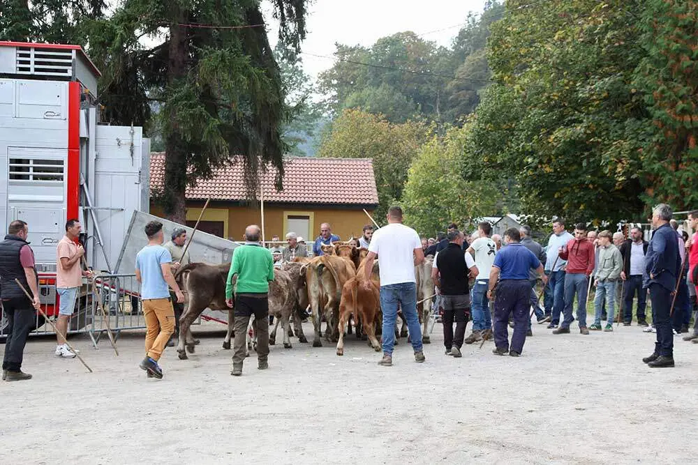 feria-santa-teresa-infiesto-2025-07