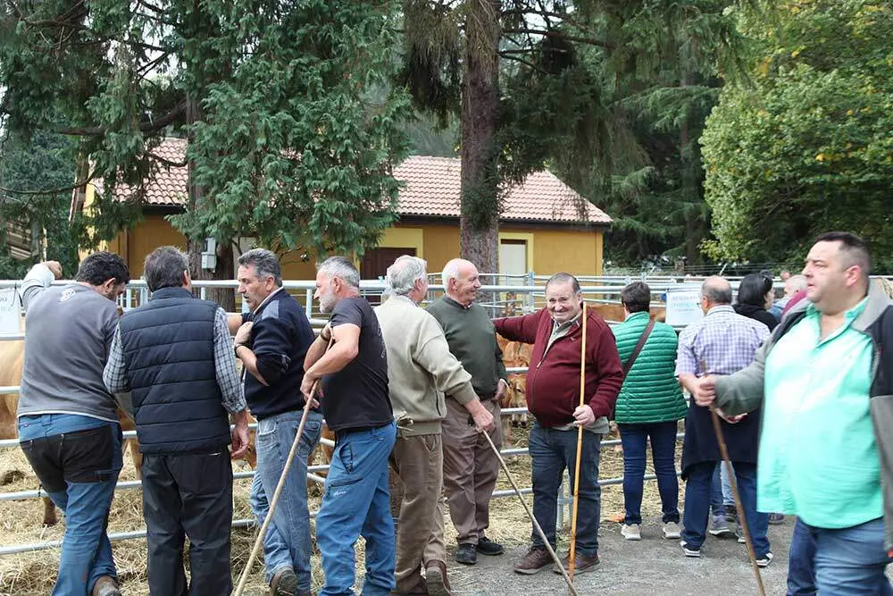 feria-santa-teresa-infiesto-2025-013