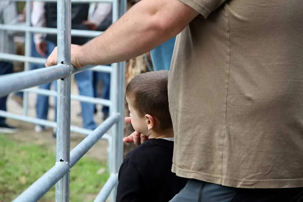 feria-santa-teresa-infiesto-2025-017