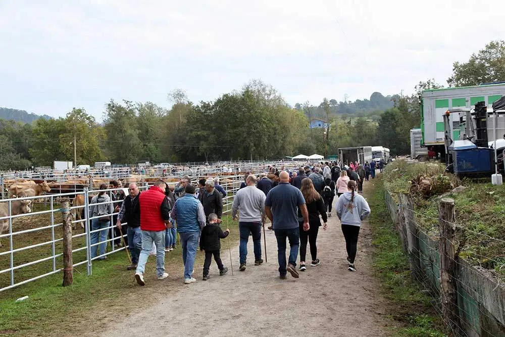 feria-santa-teresa-infiesto-2025-027