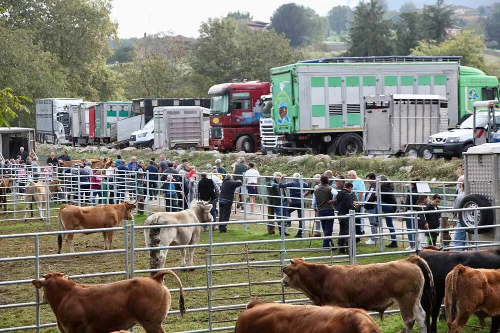 feria-santa-teresa-infiesto-2025-028