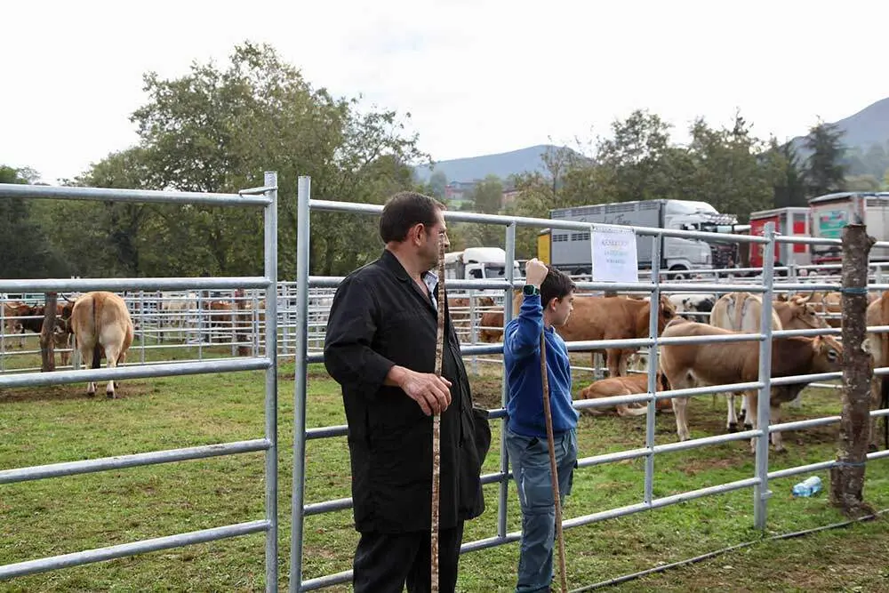 feria-santa-teresa-infiesto-2025-033