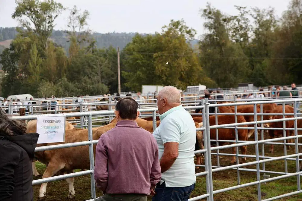 feria-santa-teresa-infiesto-2025-034