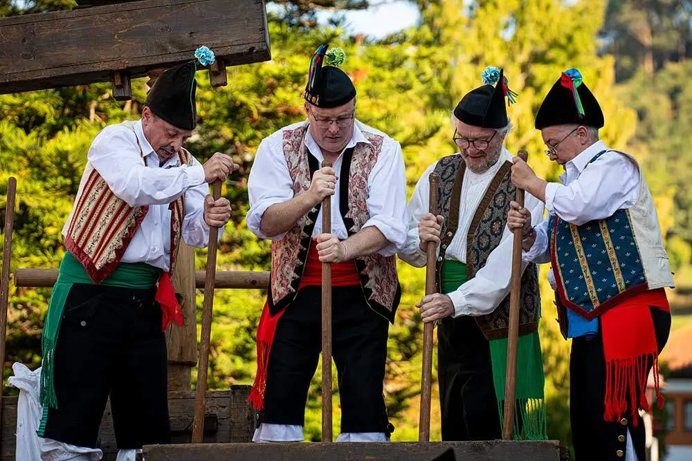 Festival-de-la-Manzana-2025---Danza-060