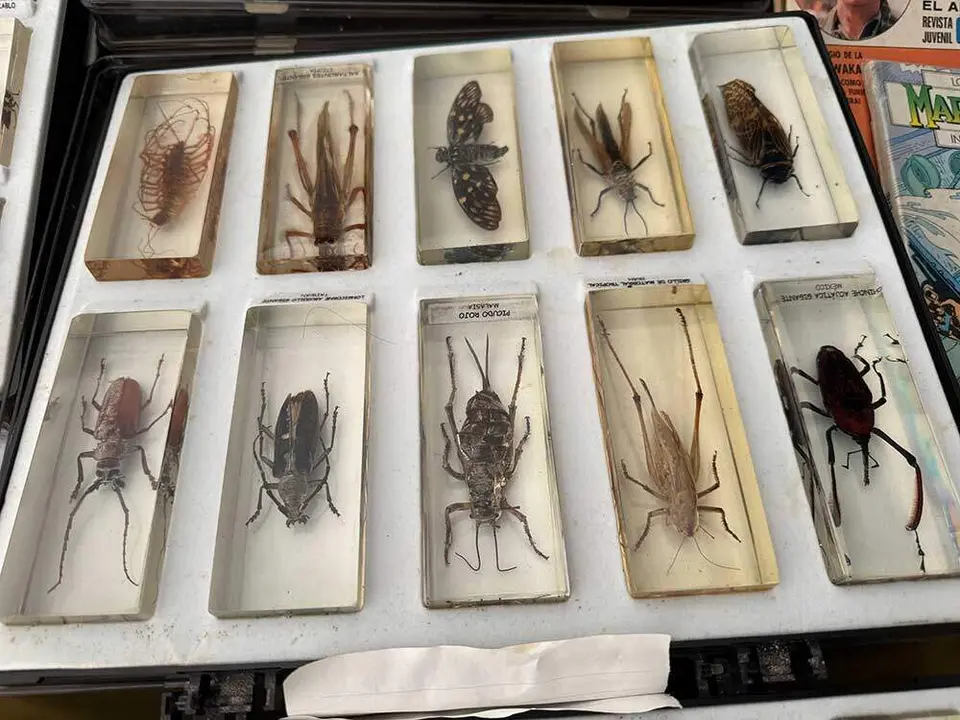 feria-antiguedades-cangas-2025-014