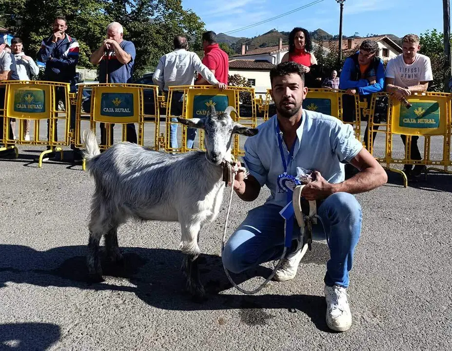 concurso-cabras-picos-europa-onis-010