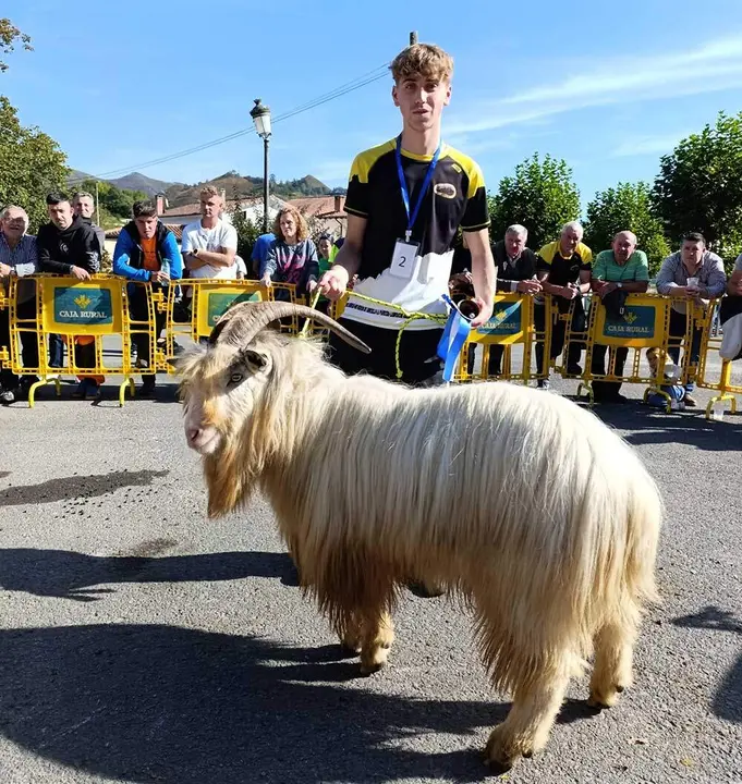 concurso-cabras-picos-europa-onis-01