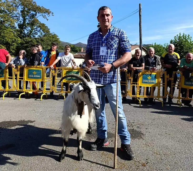 concurso-cabras-picos-europa-onis-02