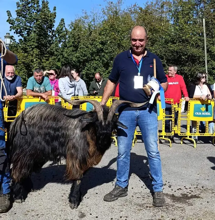 concurso-cabras-picos-europa-onis-05