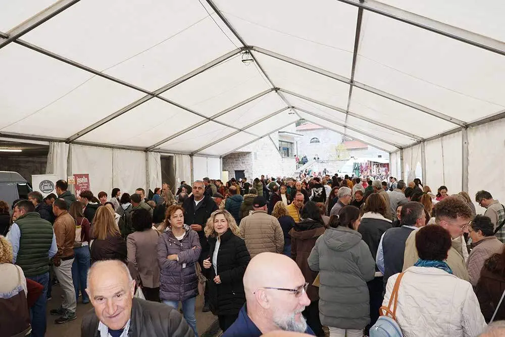 feria-oseja-sajambre-2025-06