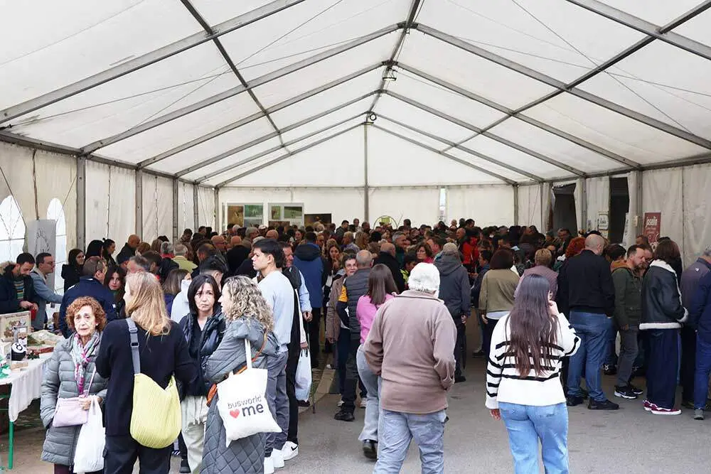 feria-oseja-sajambre-2025-010