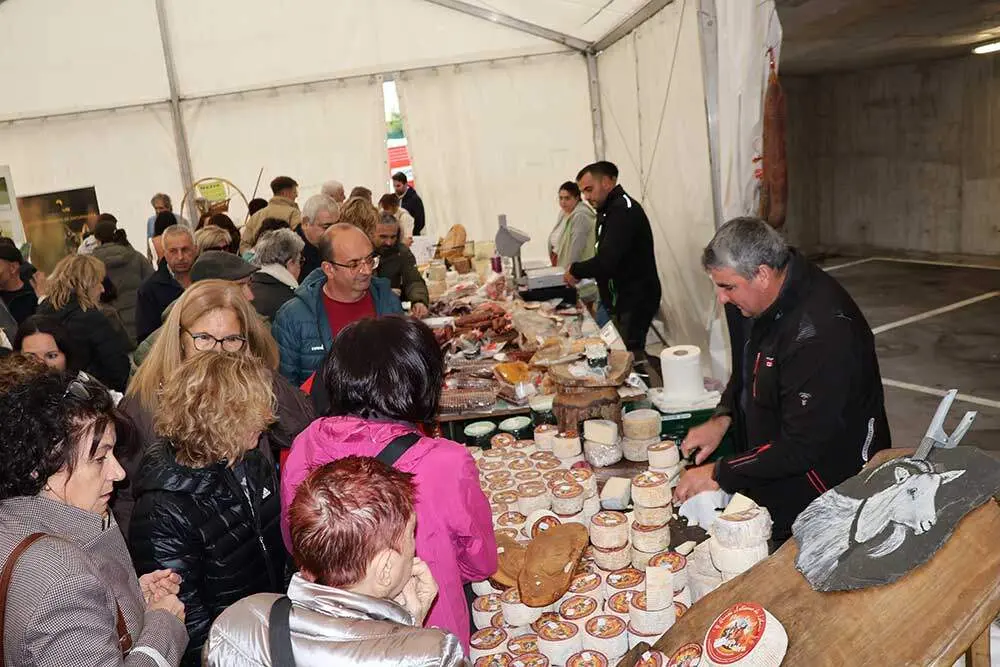 feria-oseja-sajambre-2025-017