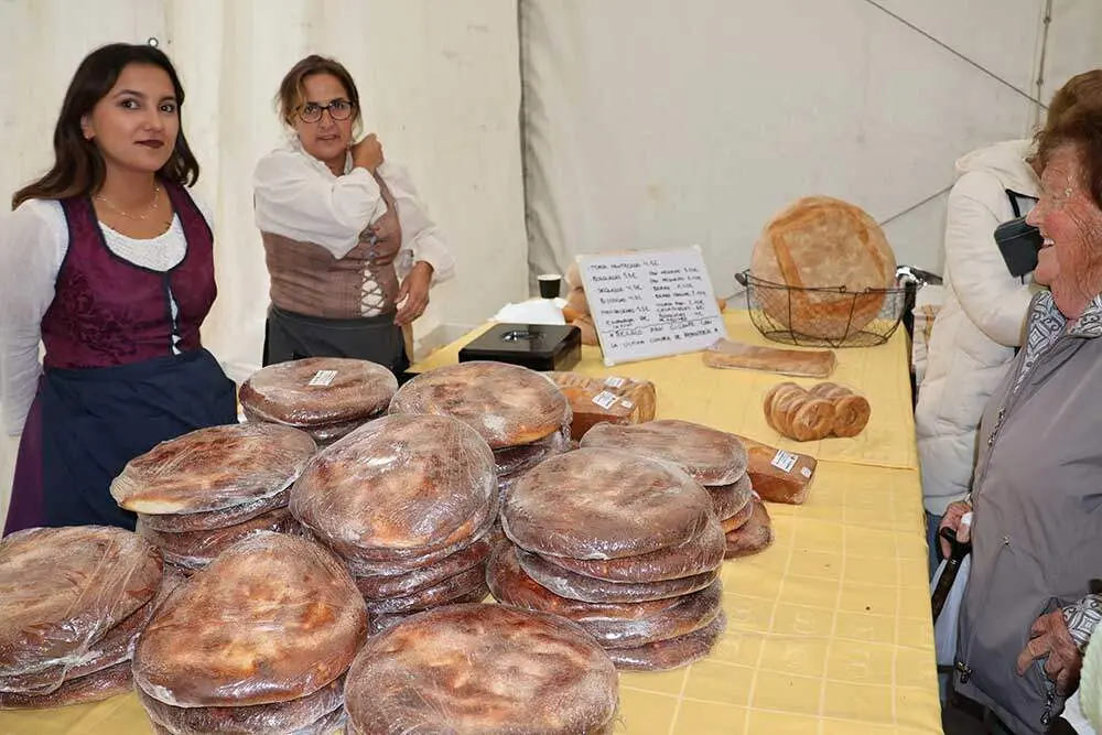 feria-oseja-sajambre-2025-021