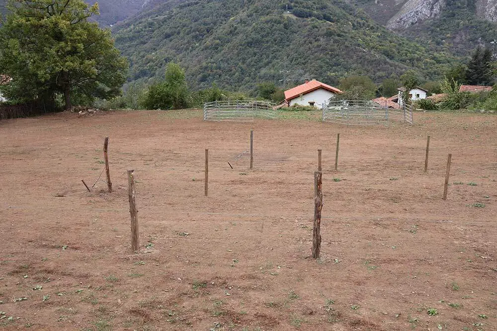 feria-oseja-sajambre-2025-025