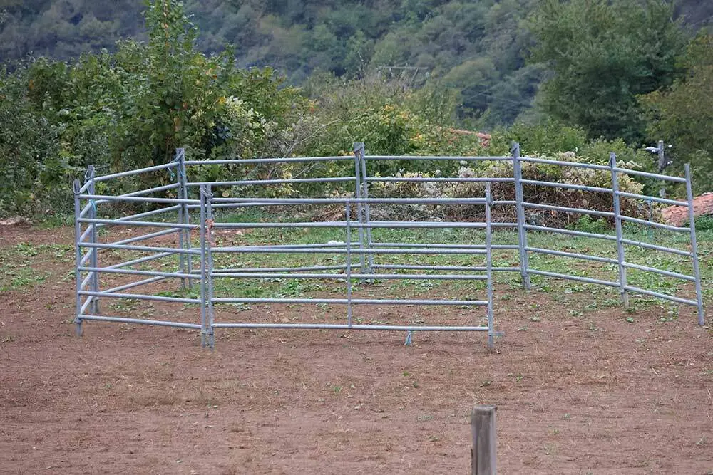 feria-oseja-sajambre-2025-026