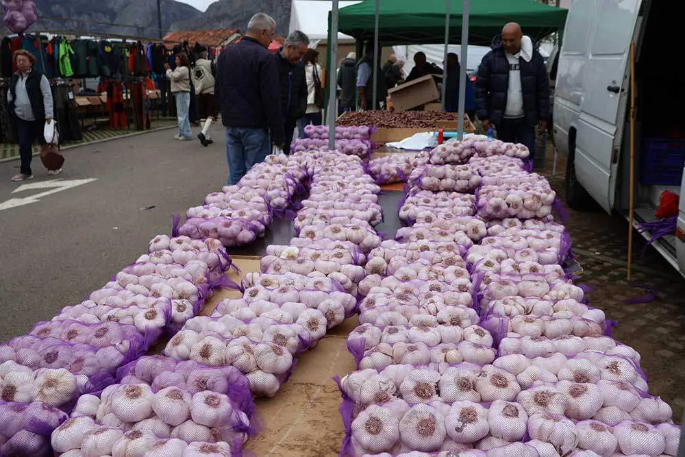 feria-oseja-sajambre-2025-029