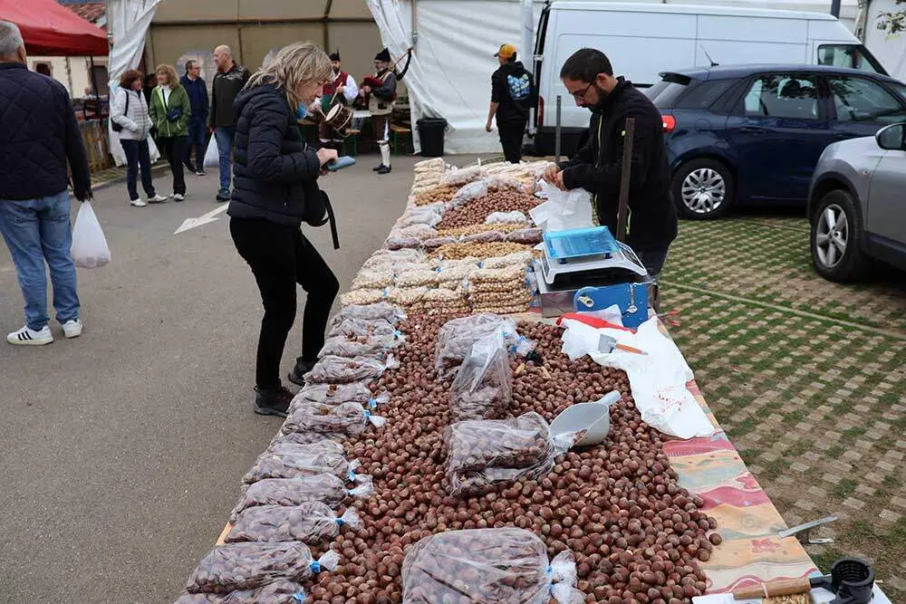 feria-oseja-sajambre-2025-031